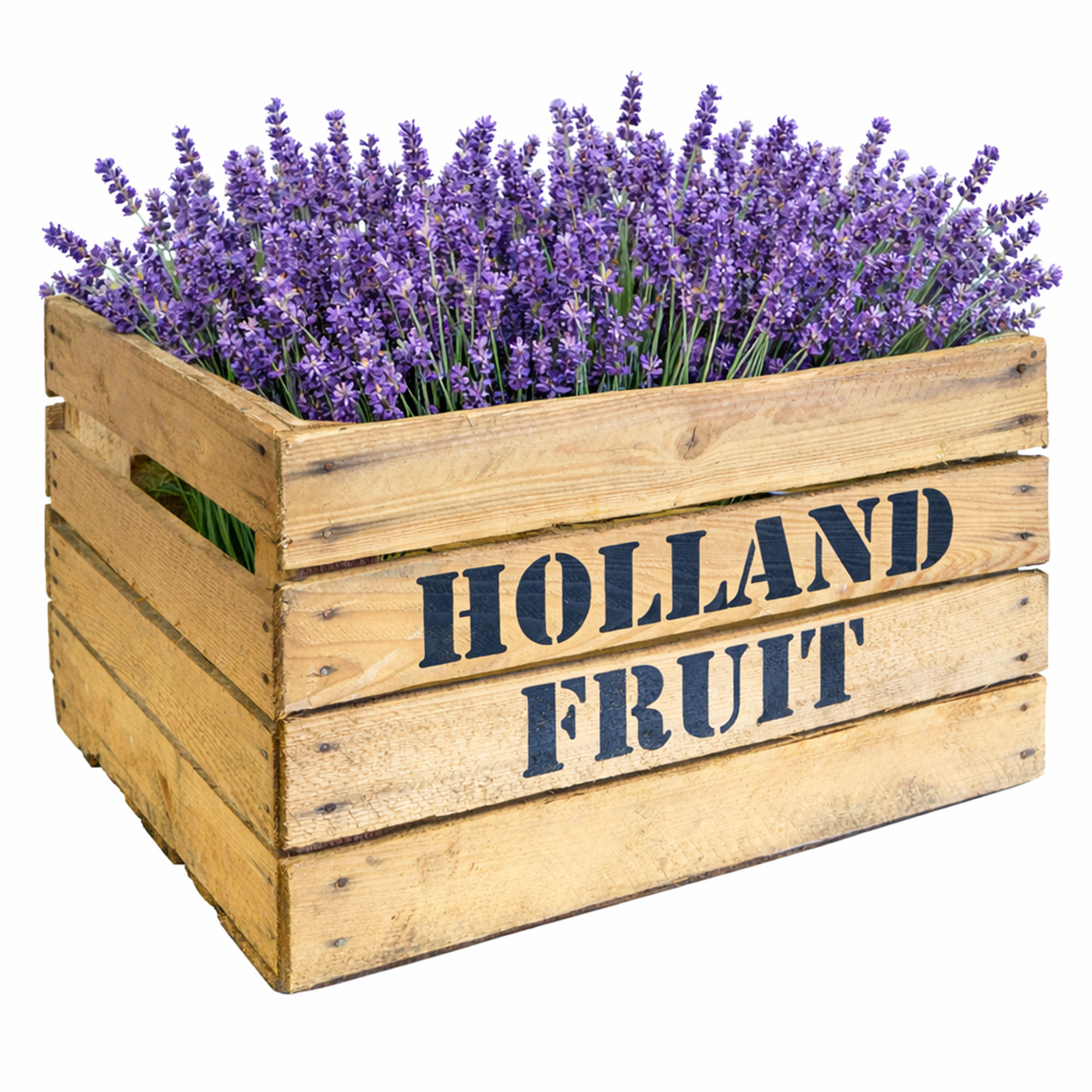 Obstkiste HOLLAND FRUIT Holland Fruit Geflammt