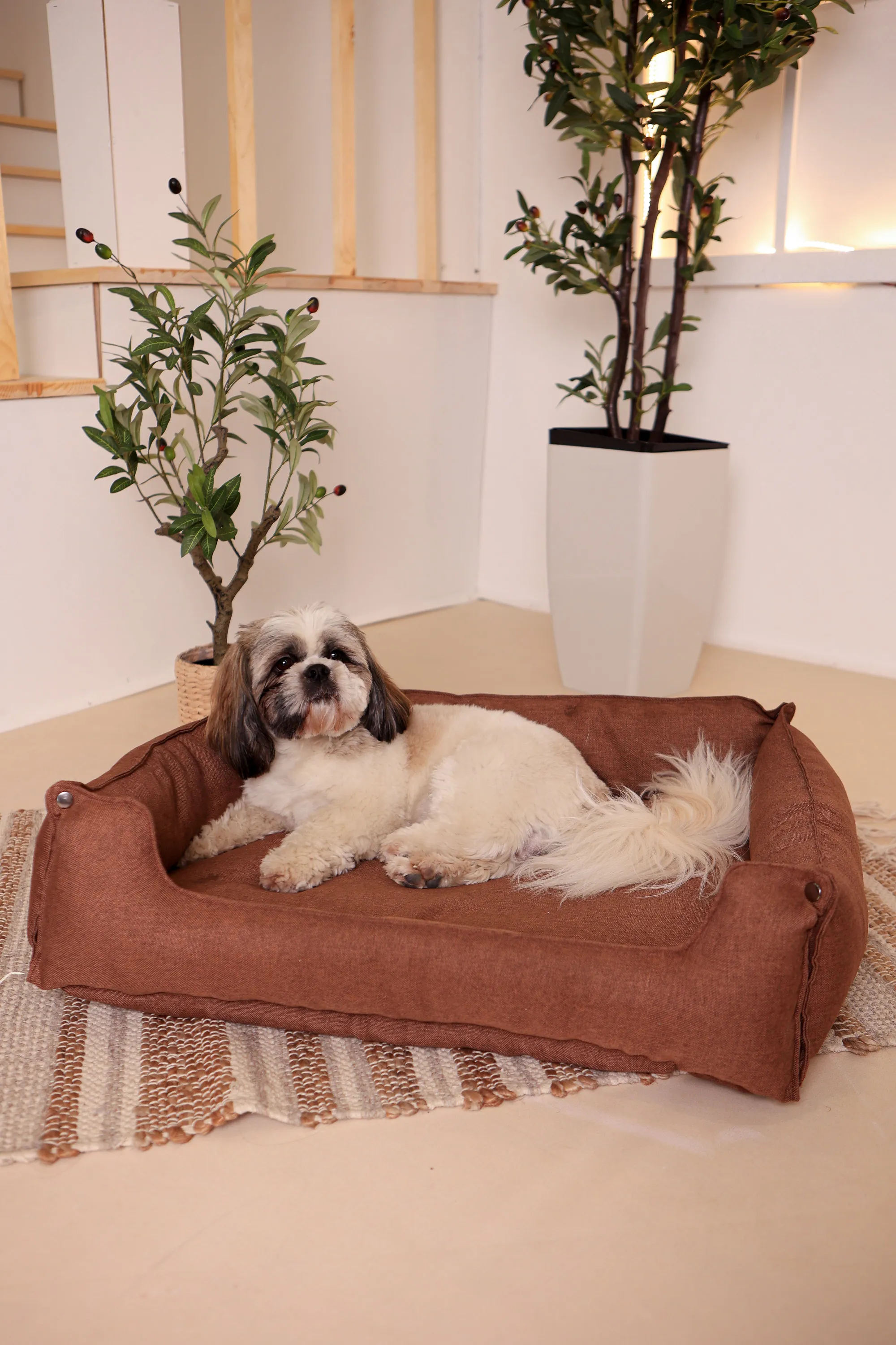 Hundebett & Hundekissen Lotti Braun Hundebett & Hundekissen Lotti Braun