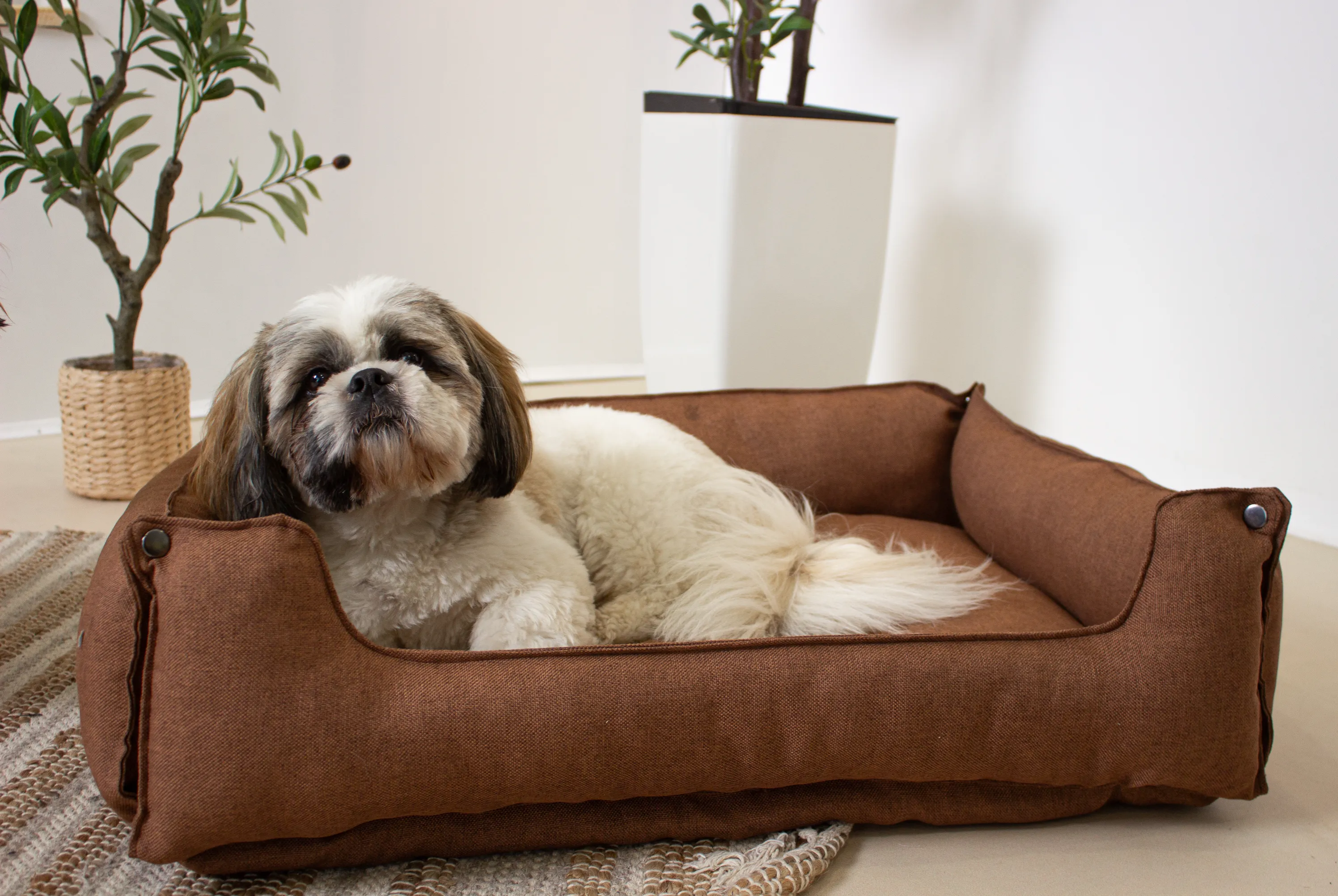 Hundebett & Hundekissen Lotti Braun Hundebett & Hundekissen Lotti Braun