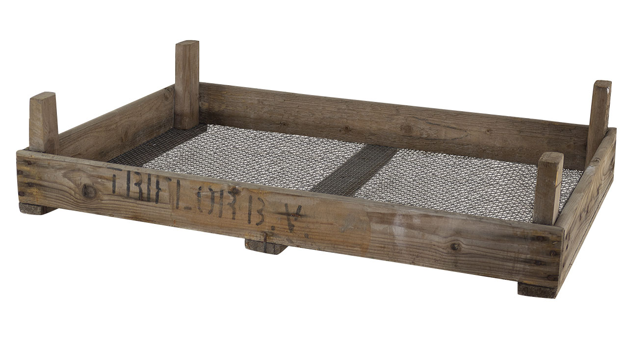 Tulpen Zwiebelsieb 75x51x9cm Tulpen Zwiebelsieb 75x51x9cm