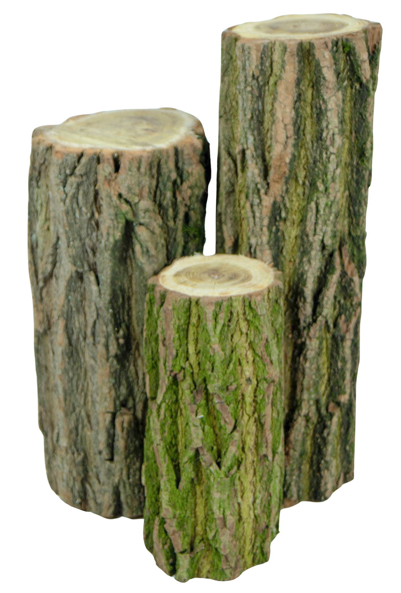 3er Set Eichenstämme Deko 3er Set Eichenstämme Deko