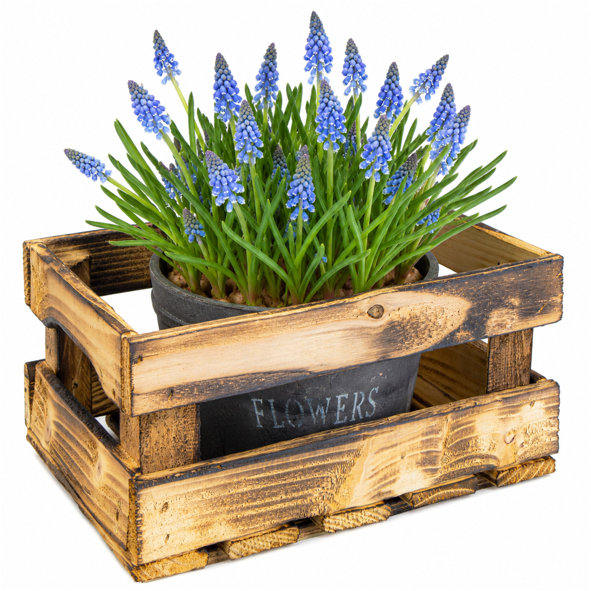 Holzkiste HENNE – Dekorative Aufbewahrungskiste aus Holz in Natur oder geflammt | 30 x 20 x 15 cm Geflammt Holzkiste HENNE – Dekorative Aufbewahrungskiste aus Holz in Natur oder geflammt | 30 x 20 x 15 cm Geflammt