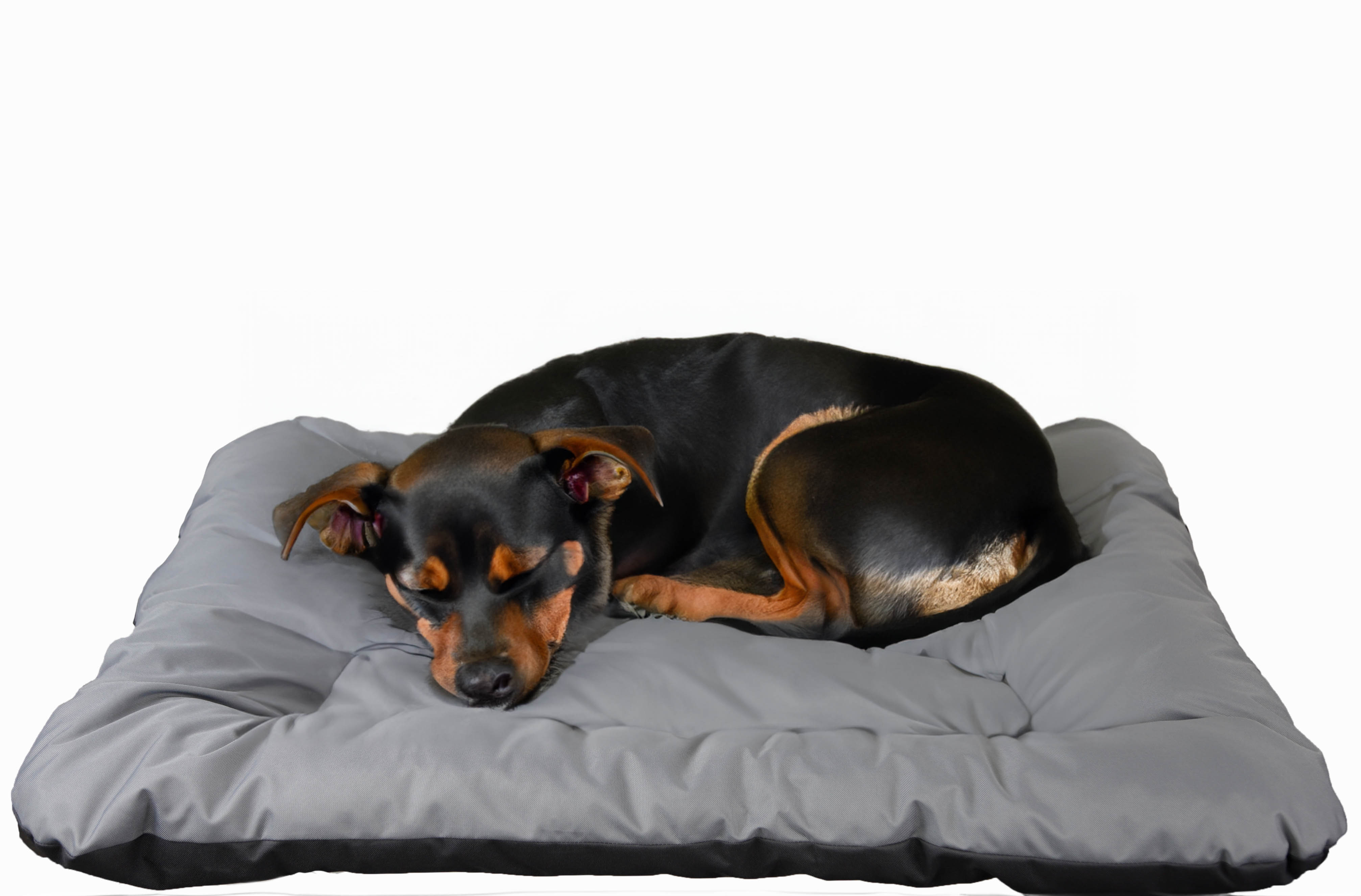 Graues Kissen für Hundebett Winston XXL 100x60x25cm