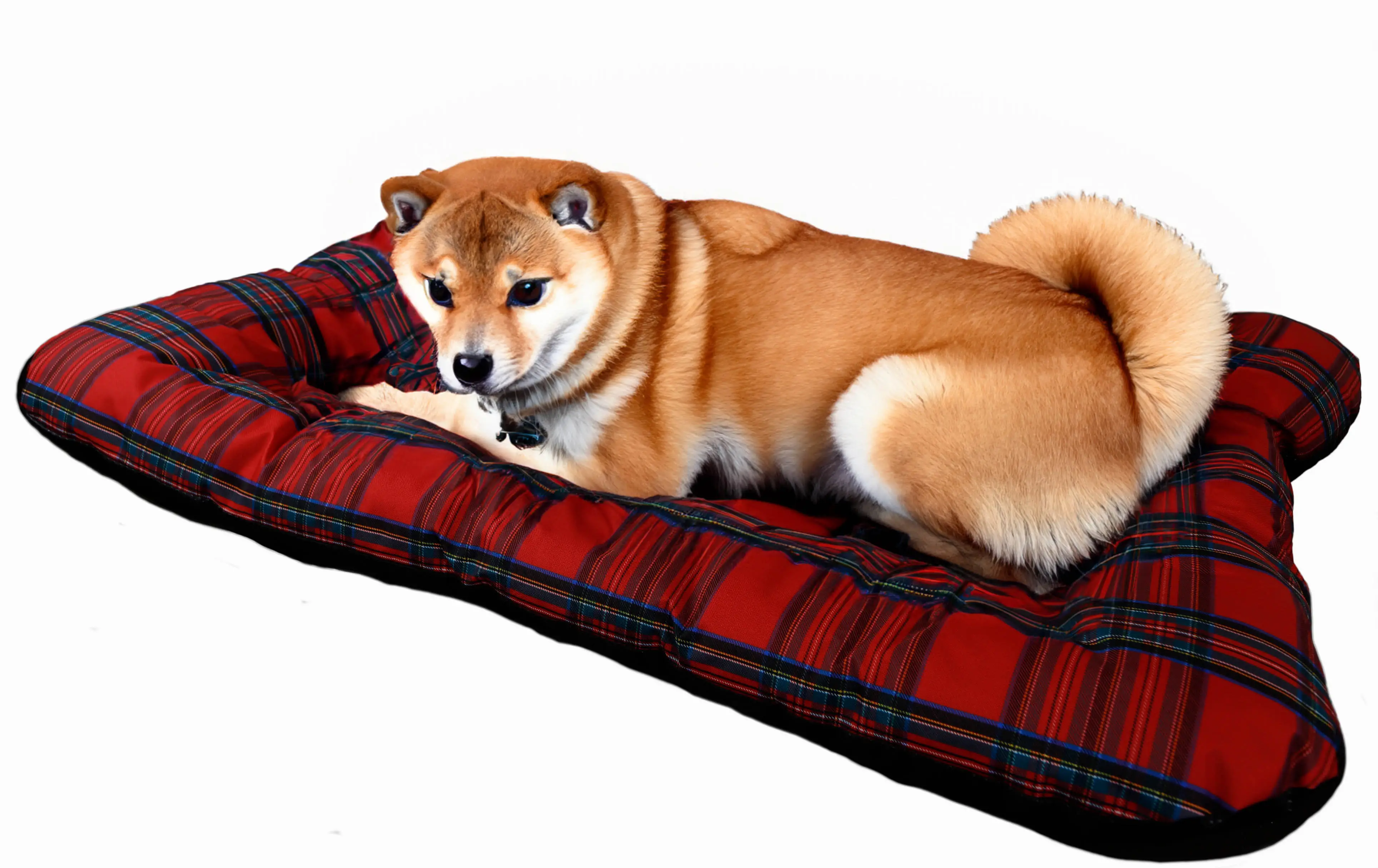 Hundebett Rocky geflammt optional mit Kissen 80x50x21cm Nur Kissen rot
