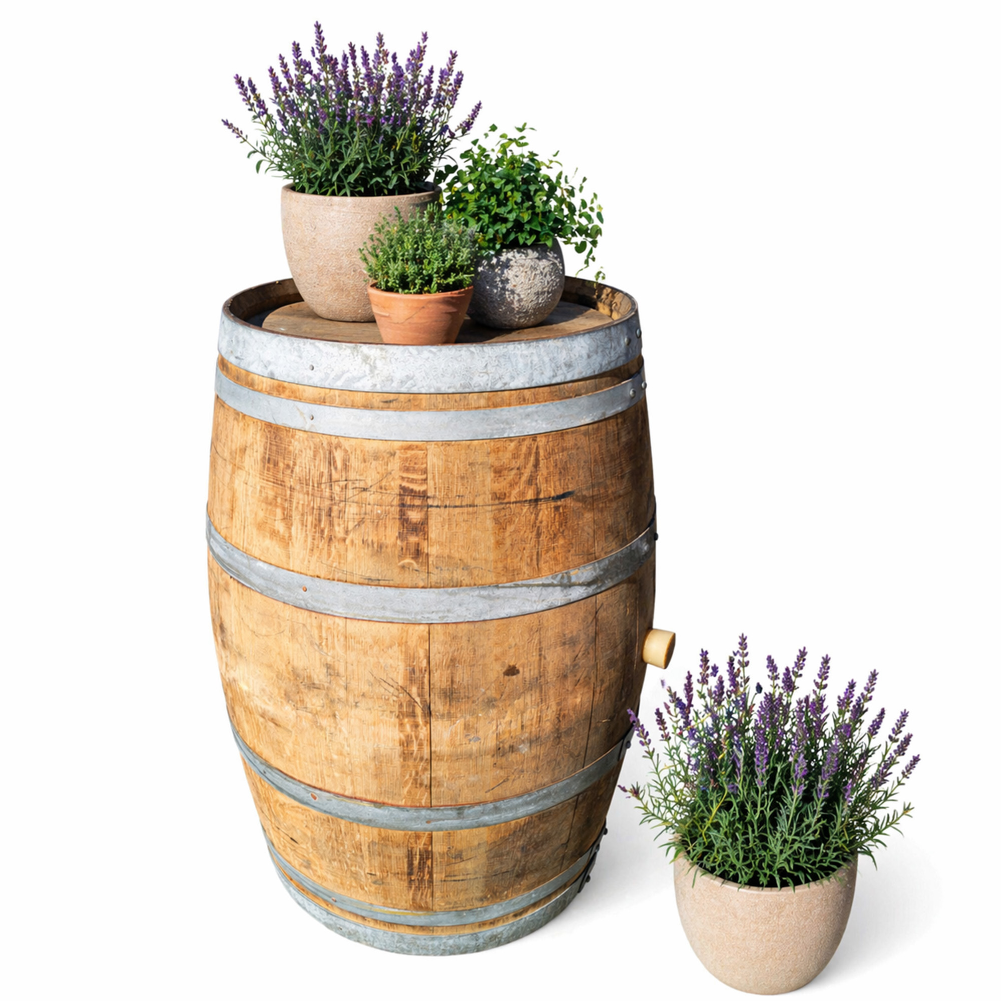 Gebrauchtes Weinfass 225L kaufen – Eichenfass für Garten, Deko & Möbelbau