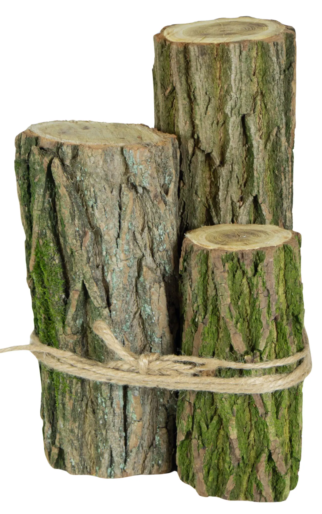 3er Set Eichenstämme Deko 3er Set Eichenstämme Deko