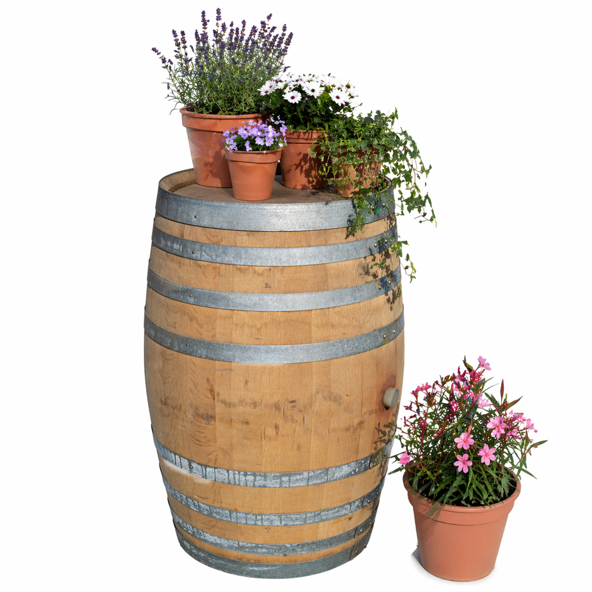 Gebrauchtes Weinfass 300L kaufen – Eichenfass für Garten, Deko & Möbelbau 