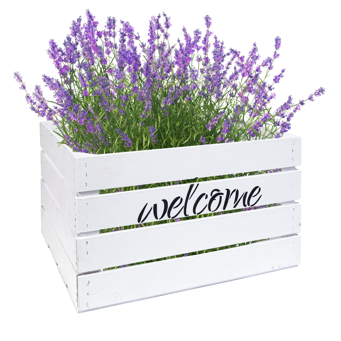 Obstkiste Welcome Welcome Weiss