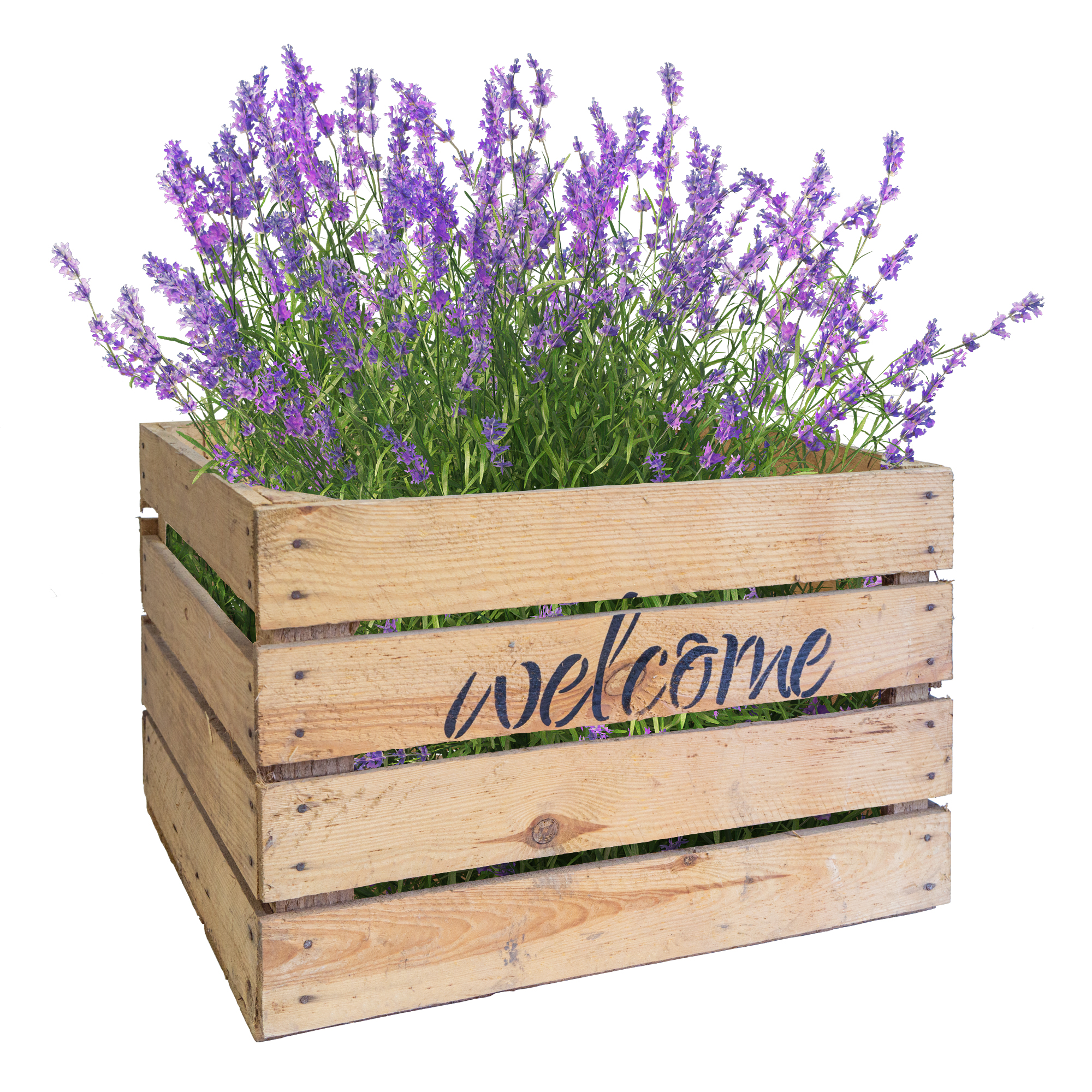 Obstkiste Welcome Welcome Natur gebraucht