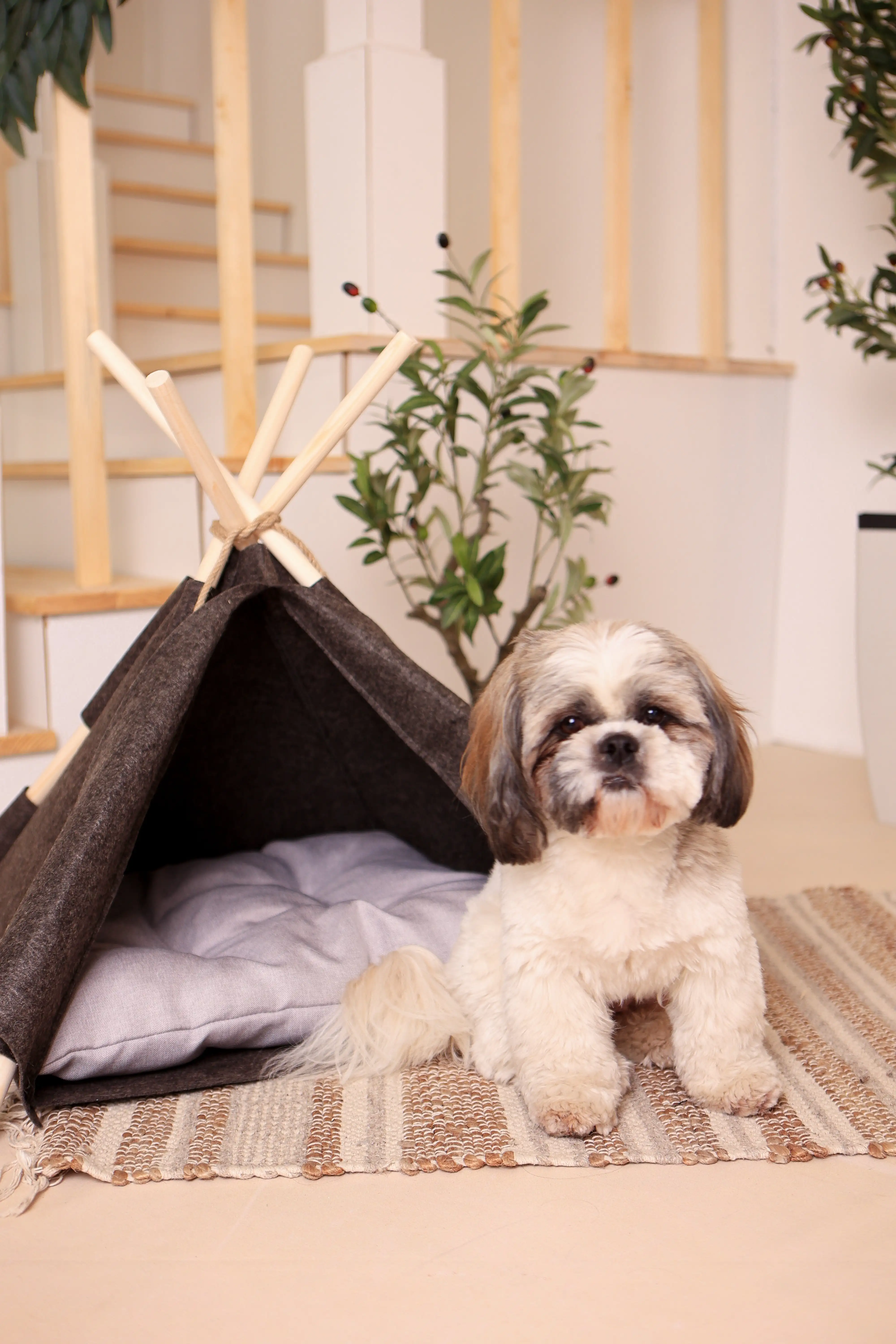 Wigwam für Hunde und Katzen – gemütliches Hundezelt & Katzentipi Handgefertigte Hundehöhle, Hundehütte & Tierzelt für Haustiere - 5.webp Wigwam für Hunde und Katzen – gemütliches Hundezelt & Katzentipi / Handgefertigte Hundehöhle, Hundehütte & Tierzelt für Haustiere