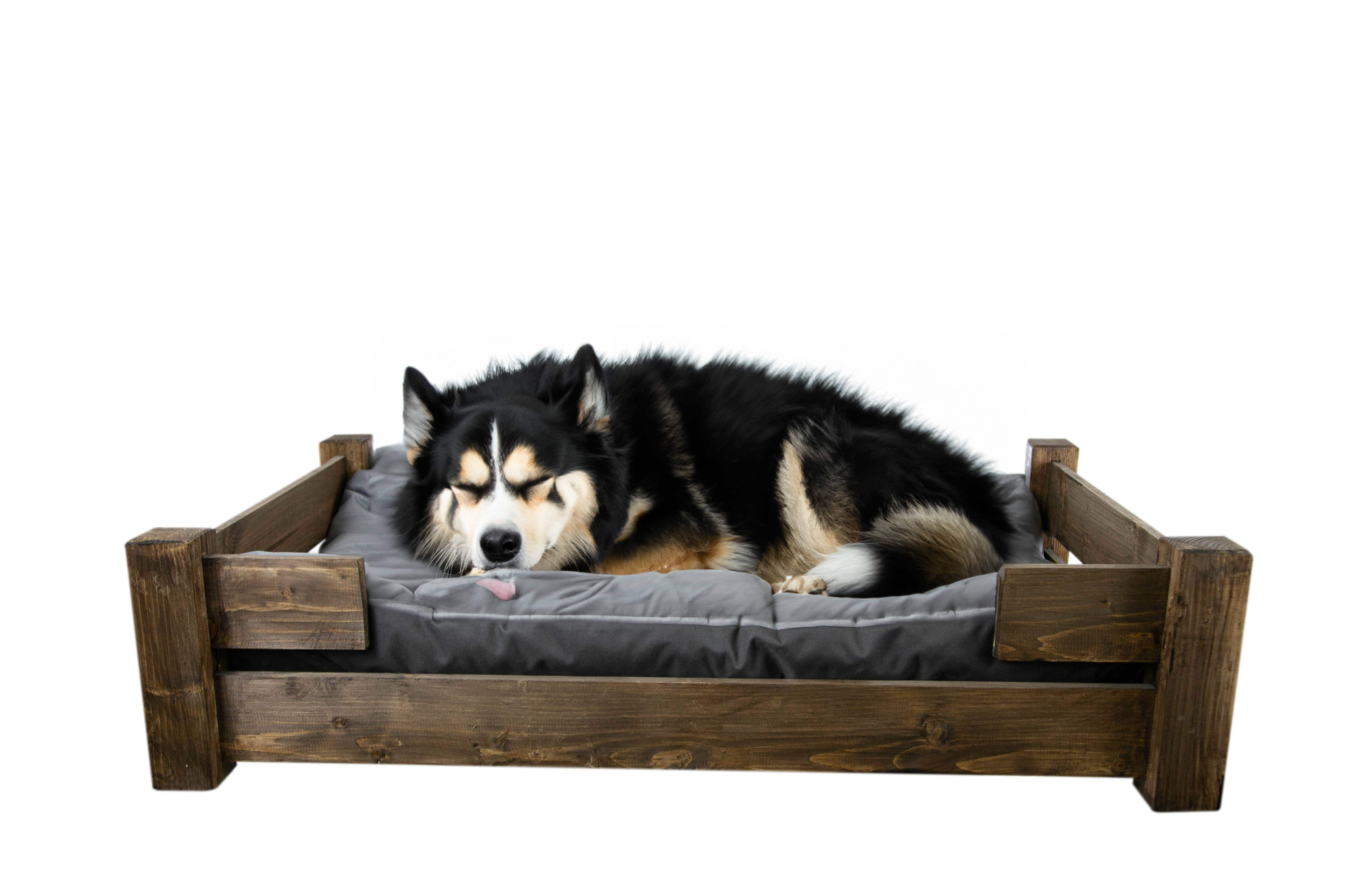 Hundebett Winston XXL Palisander mit Füßen mit Kissen grau 100x60x25cm Hundebett Winston XXL Palisander mit Füßen mit Kissen grau 100x60x25cm