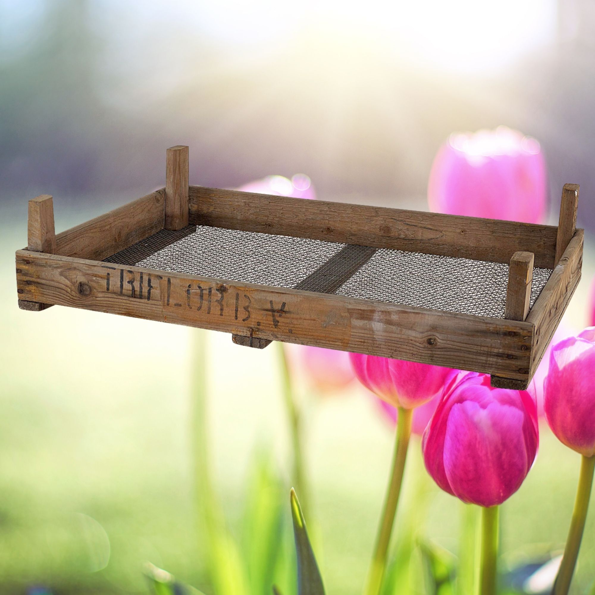 Tulpen Zwiebelsieb 75x51x9cm Tulpen Zwiebelsieb 75x51x9cm