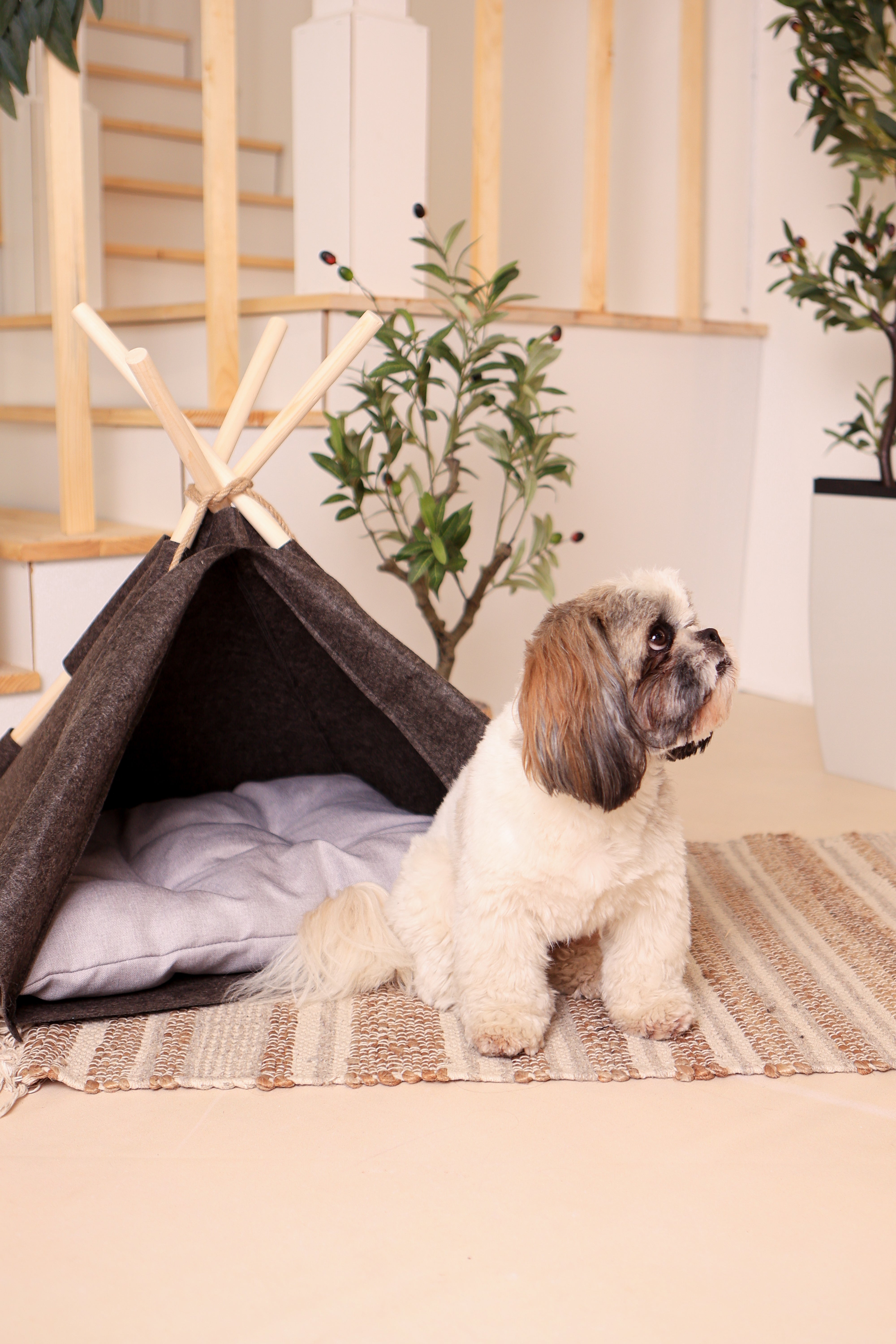 Wigwam für Hunde und Katzen – gemütliches Hundezelt & Katzentipi / Handgefertigte Hundehöhle, Hundehütte & Tierzelt für Haustiere