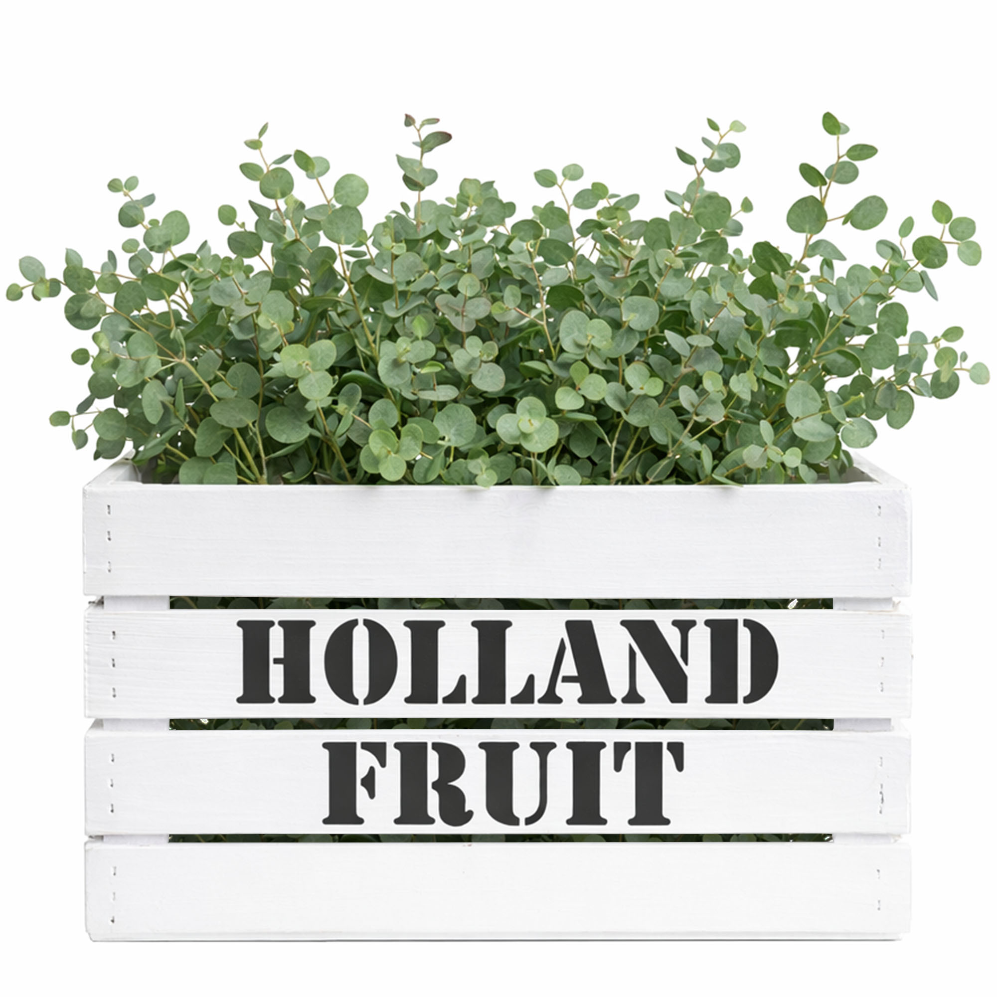 Obstkiste HOLLAND FRUIT Holland Fruit Weiss