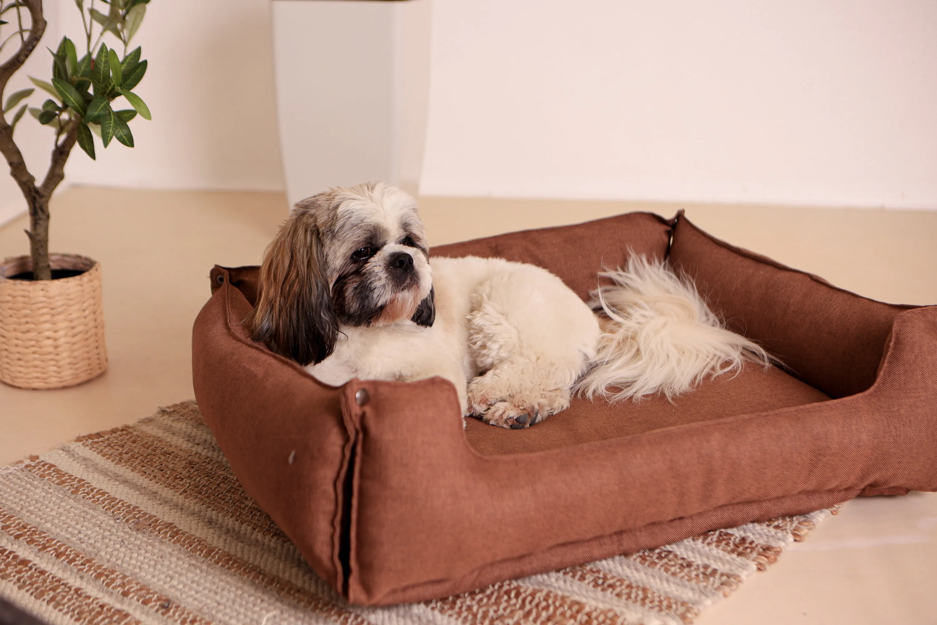 Hundebett & Hundekissen Lotti Braun Hundebett & Hundekissen Lotti Braun